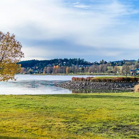 I313 Molo Lipno With Private Wellness Daire Lipno nad Vltavou
