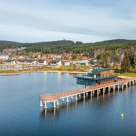 I313 Molo Lipno With Private Wellness Apartment