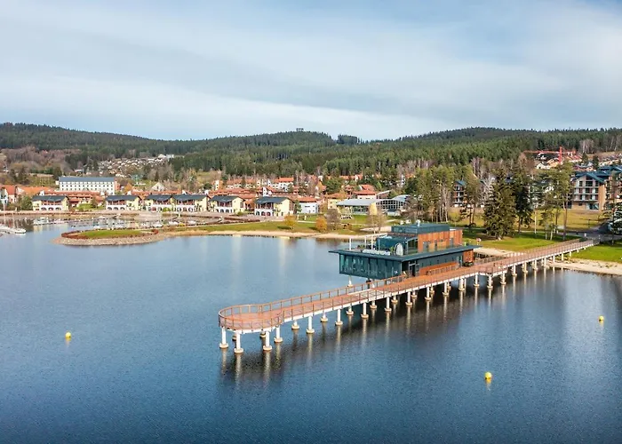 I313 Molo Lipno With Private Wellness 아파트